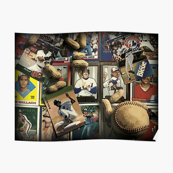 Tribute to the Montreal Expos Poster