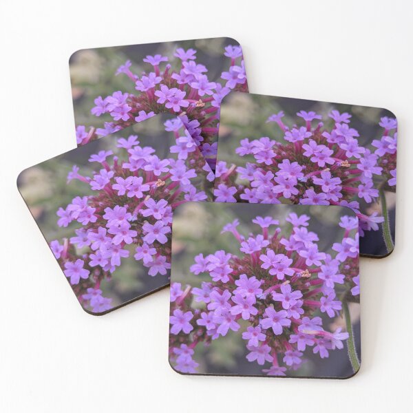Item preview, Verbena Bonariensis Bloom Head, Macro Botanical Photography designed and sold by PrettyAround.
