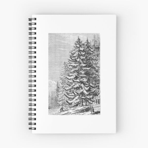 Item preview, Vintage Snowy Pine Trees Forest Winter Engraving designed and sold by Antique Science Press.