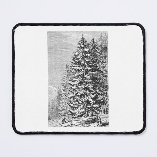 Item preview, Vintage Snowy Pine Trees Forest Winter Engraving designed and sold by Antique Science Press.