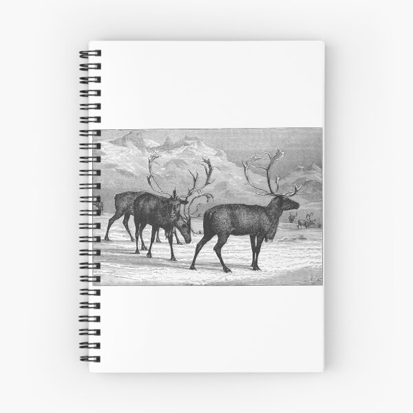 Item preview, Vintage Reindeer Herd Engraving designed and sold by Antique Science Press.