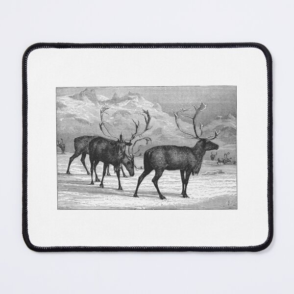 Item preview, Vintage Reindeer Herd Engraving designed and sold by Antique Science Press.