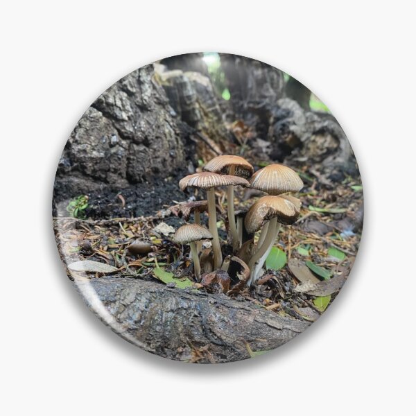 Item preview, Mushrooms in the English Countryside designed and sold by ForestedDesigns.