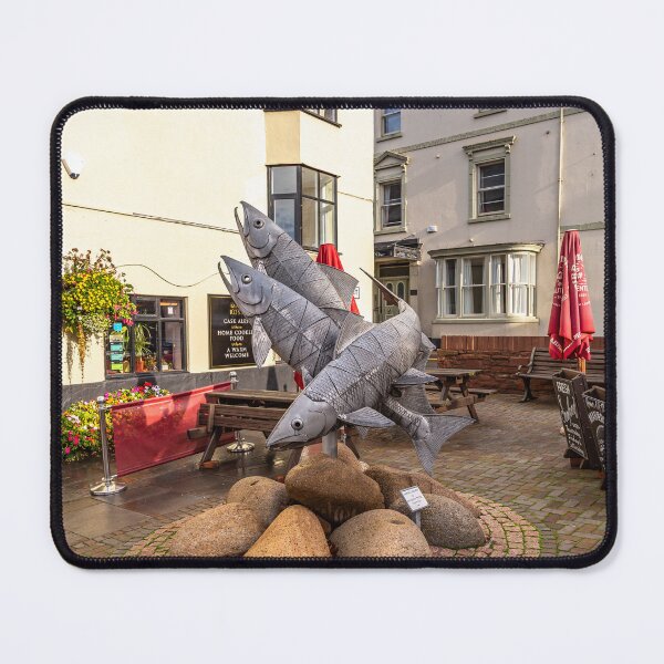 Item preview, The Leaping Salmon designed and sold by StephenRphoto.