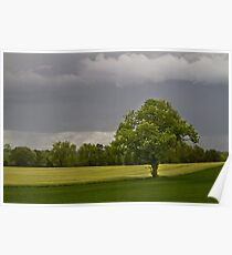 Timeless English Countryside Poster