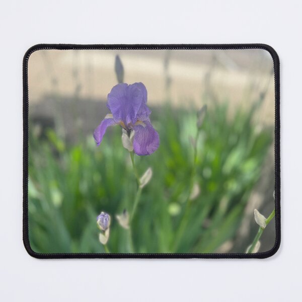 Item preview, Focus on the Fragile designed and sold by TaisiasCaptures.