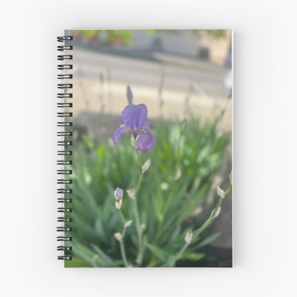 Item preview, Focus on the Fragile designed and sold by TaisiasCaptures.