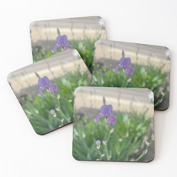 Item preview, Focus on the Fragile designed and sold by TaisiasCaptures.