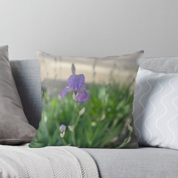 Item preview, Focus on the Fragile designed and sold by TaisiasCaptures.