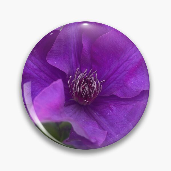 Item preview, Velvet Petals of the Queen of Vines designed and sold by TaisiasCaptures.