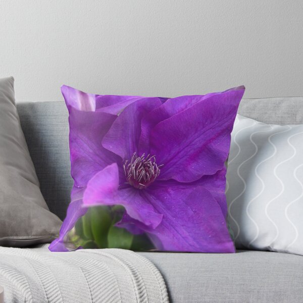 Item preview, Velvet Petals of the Queen of Vines designed and sold by TaisiasCaptures.