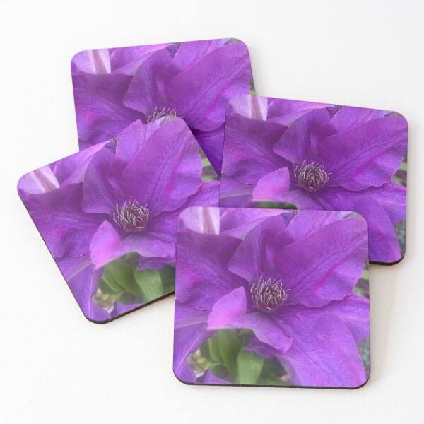Item preview, Velvet Petals of the Queen of Vines designed and sold by TaisiasCaptures.