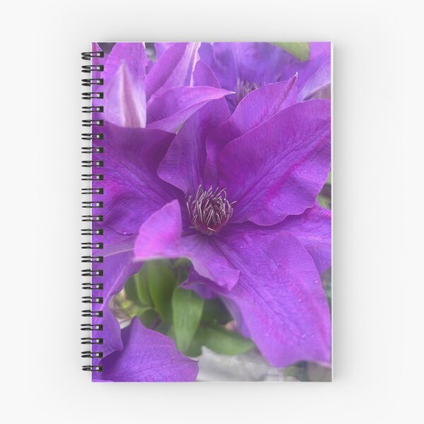 Item preview, Velvet Petals of the Queen of Vines designed and sold by TaisiasCaptures.