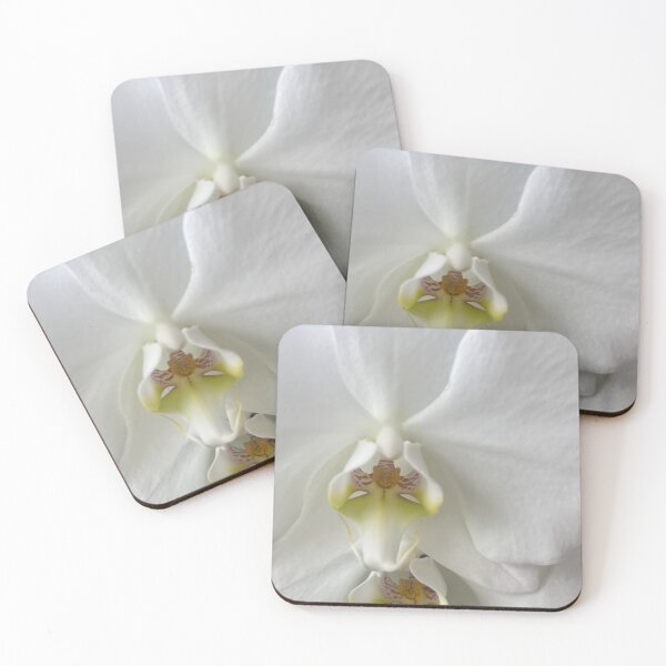 Item preview, Elegant white orchid designed and sold by TaisiasCaptures.