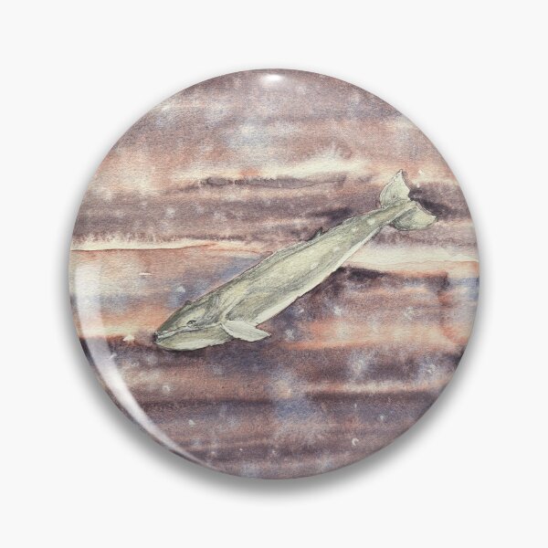 Item preview, Sei Whale — Balaenoptera borealis | Watercolour & Ink Naturalist Study designed and sold by SundayGirlTeam.