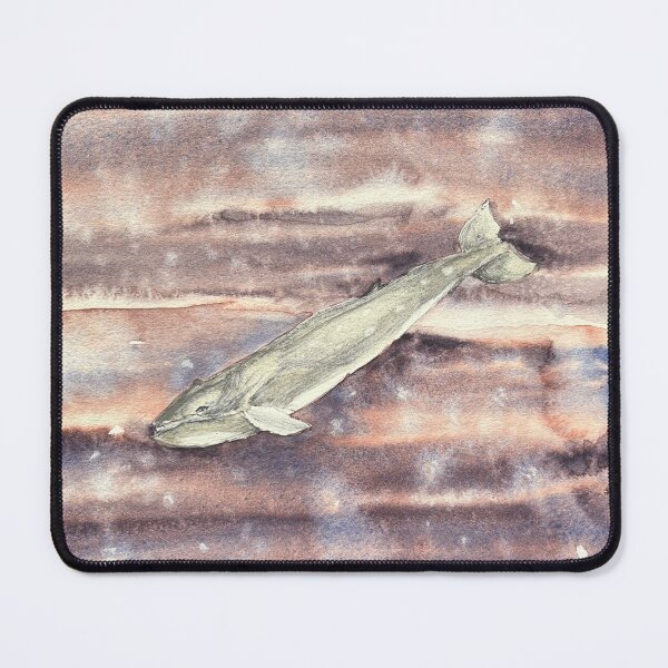 Item preview, Sei Whale — Balaenoptera borealis | Watercolour & Ink Naturalist Study designed and sold by SundayGirlTeam.