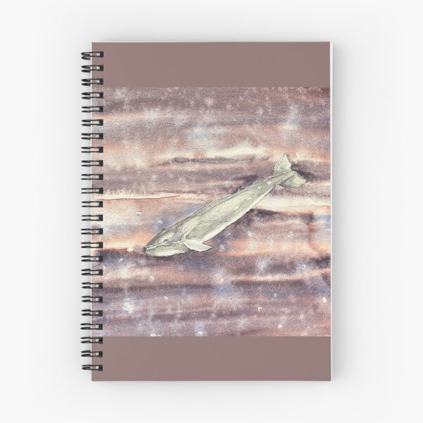 Item preview, Sei Whale — Balaenoptera borealis | Watercolour & Ink Naturalist Study designed and sold by SundayGirlTeam.