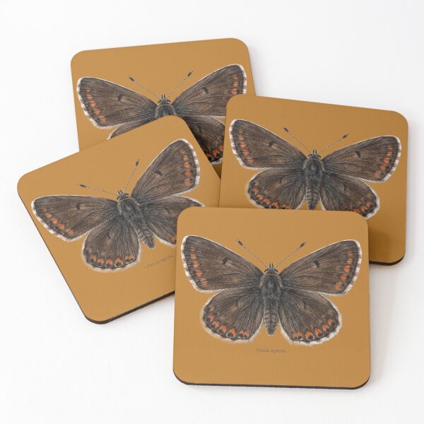 Item preview, Brown Argus Butterfly (Aricia agestis): Entomological Specimen Art designed and sold by FreiherrPK.
