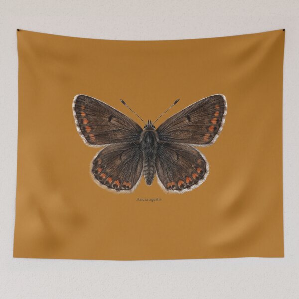 Item preview, Brown Argus Butterfly (Aricia agestis): Entomological Specimen Art designed and sold by FreiherrPK.