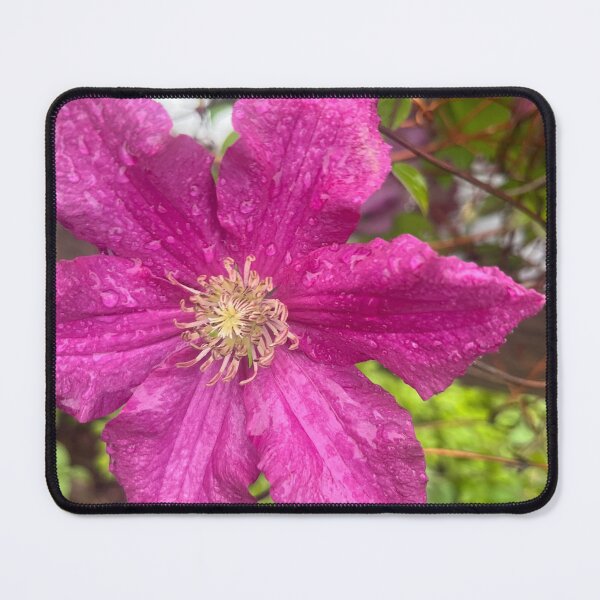 Item preview, Summer Rain Botanical Bloom designed and sold by TaisiasCaptures.