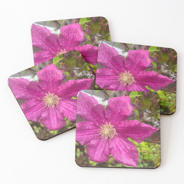 Item preview, Summer Rain Botanical Bloom designed and sold by TaisiasCaptures.