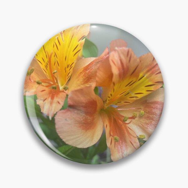 Item preview, Golden Alstroemeria Cluster designed and sold by TaisiasCaptures.