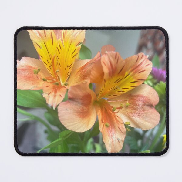 Item preview, Golden Alstroemeria Cluster designed and sold by TaisiasCaptures.