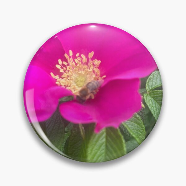 Item preview, Rugosa Rose In Bloom designed and sold by TaisiasCaptures.