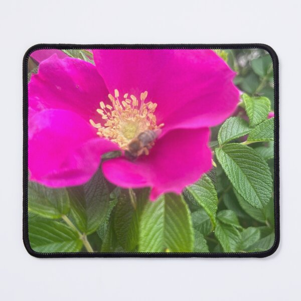 Item preview, Rugosa Rose In Bloom designed and sold by TaisiasCaptures.