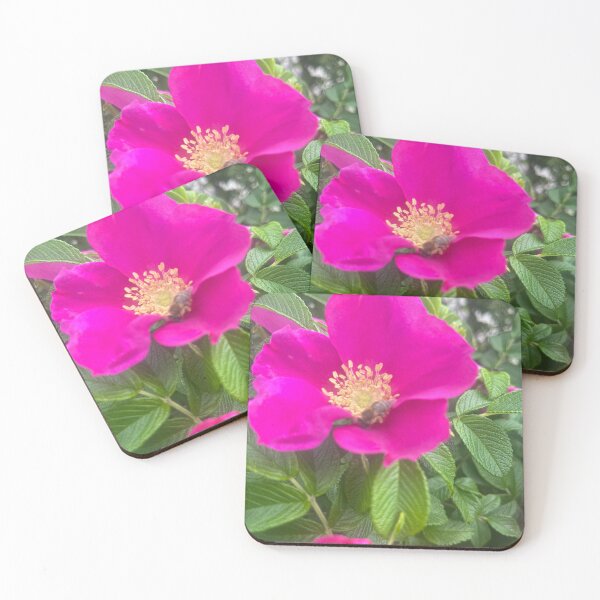Item preview, Rugosa Rose In Bloom designed and sold by TaisiasCaptures.
