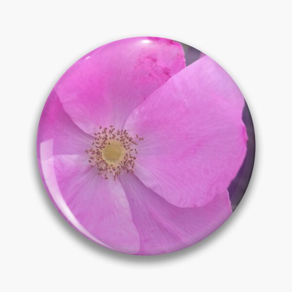 Item preview, Rustic Cottagecore Wild Rose Shrub designed and sold by TaisiasCaptures.