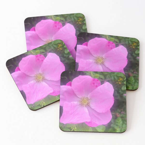 Item preview, Rustic Cottagecore Wild Rose Shrub designed and sold by TaisiasCaptures.