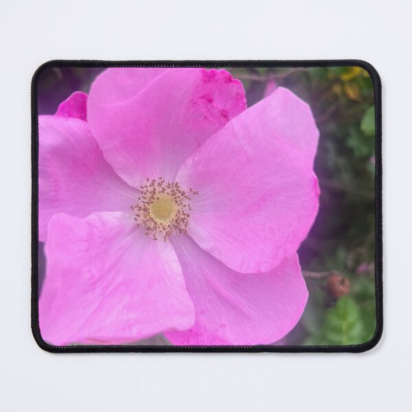 Item preview, Rustic Cottagecore Wild Rose Shrub designed and sold by TaisiasCaptures.