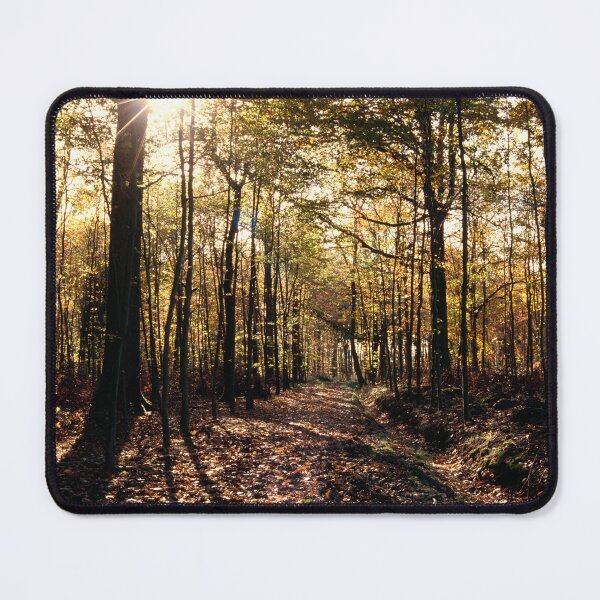 Item preview, The Woods near Bruton, Somerset designed and sold by JonDelorme.