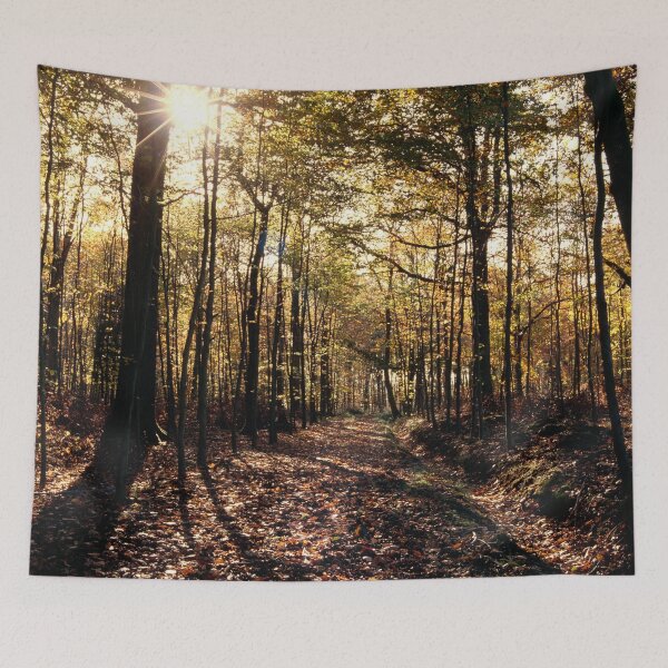Item preview, The Woods near Bruton, Somerset designed and sold by JonDelorme.