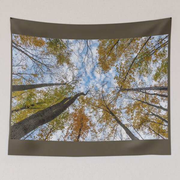 Item preview, Up! designed and sold by Roxane Bay.