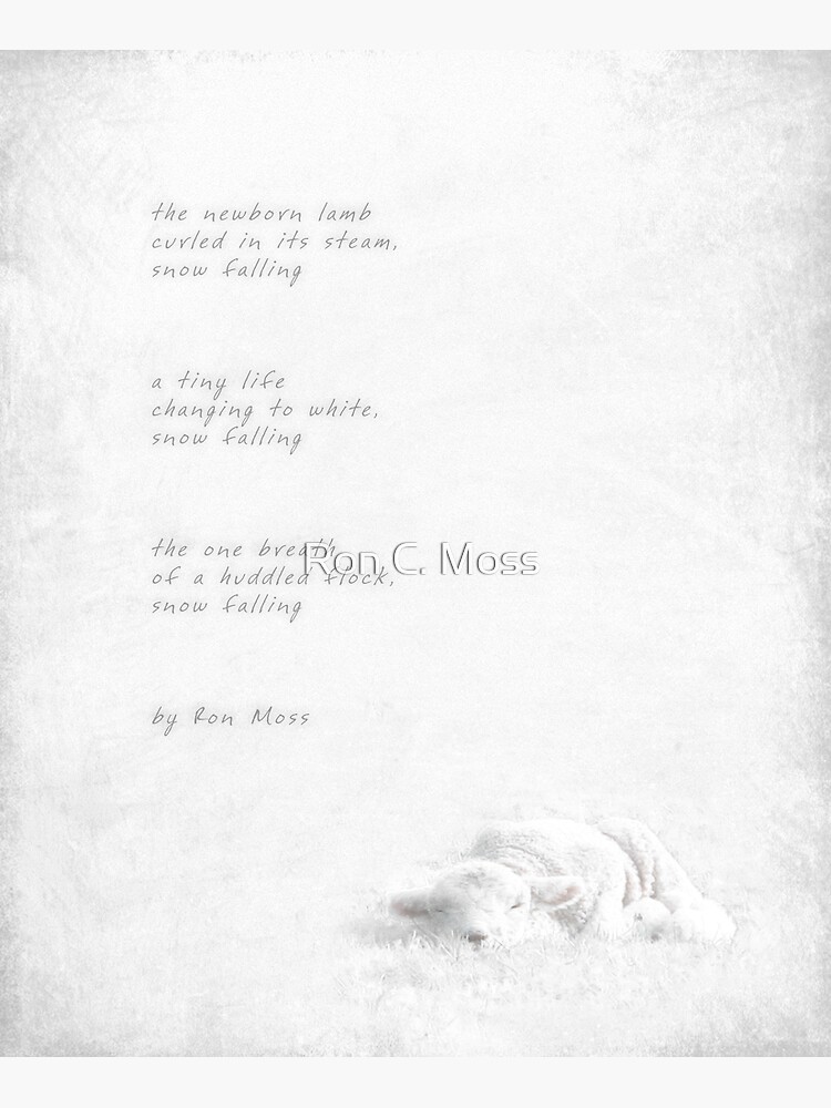 snow falling by ronmoss