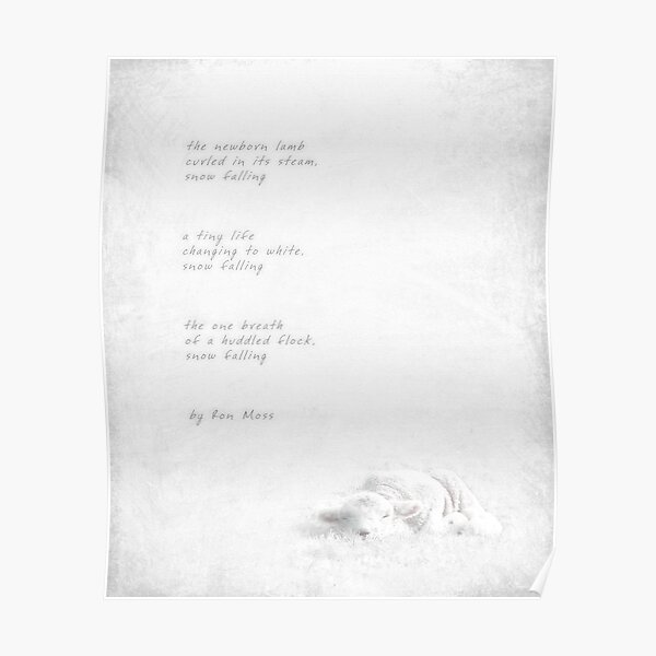 snow falling Poster