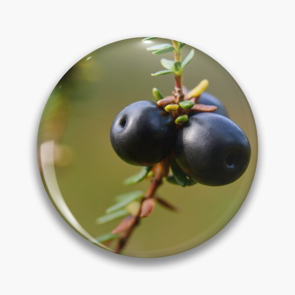 Item preview, Crowberry Valtavaara 2026 designed and sold by Jouko Lehto Photography.