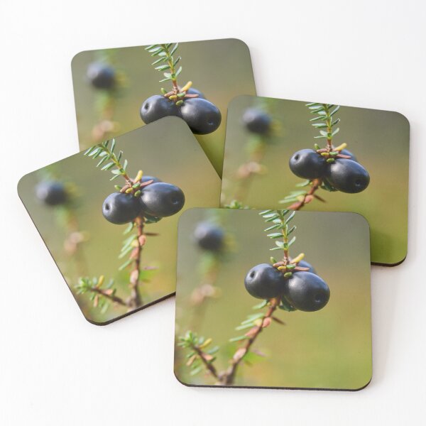 Item preview, Crowberry Valtavaara 2026 designed and sold by Jouko Lehto Photography.