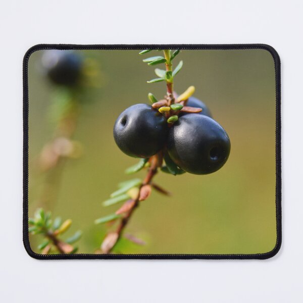 Item preview, Crowberry Valtavaara 2026 designed and sold by Jouko Lehto Photography.