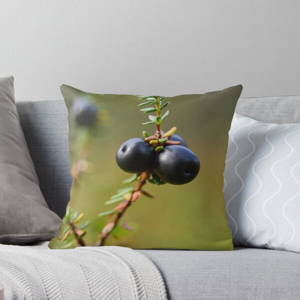 Item preview, Crowberry Valtavaara 2026 designed and sold by Jouko Lehto Photography.