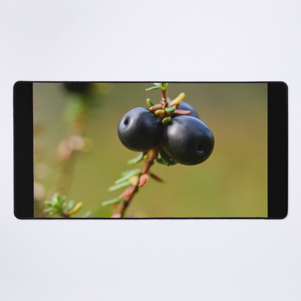 Item preview, Crowberry Valtavaara 2026 designed and sold by Jouko Lehto Photography.