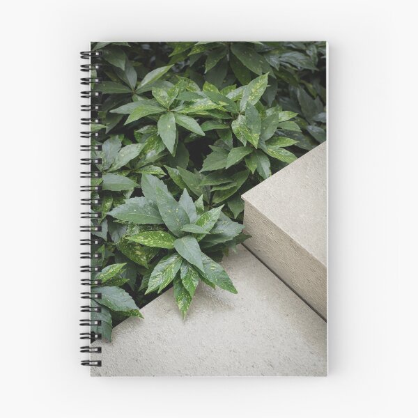 Item preview, Concrete house designed and sold by Pedro Crispim.