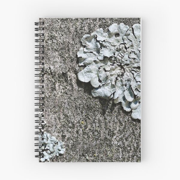 Item preview, Grey lichens on tree bark as a naturalistic pattern. designed and sold by NaturePhotography.