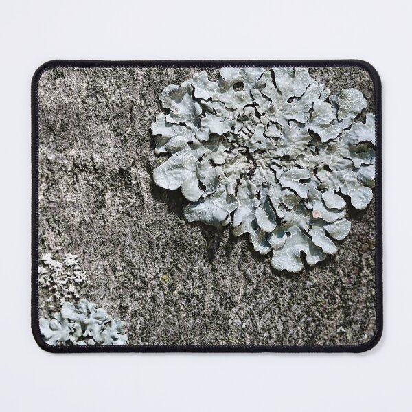 Item preview, Grey lichens on tree bark as a naturalistic pattern. designed and sold by NaturePhotography.
