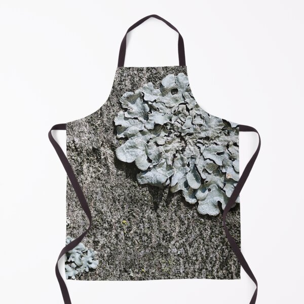 Item preview, Grey lichens on tree bark as a naturalistic pattern. designed and sold by NaturePhotography.