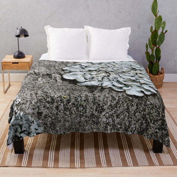 Item preview, Grey lichens on tree bark as a naturalistic pattern. designed and sold by NaturePhotography.