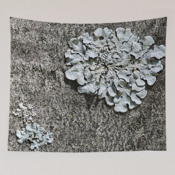 Item preview, Grey lichens on tree bark as a naturalistic pattern. designed and sold by NaturePhotography.