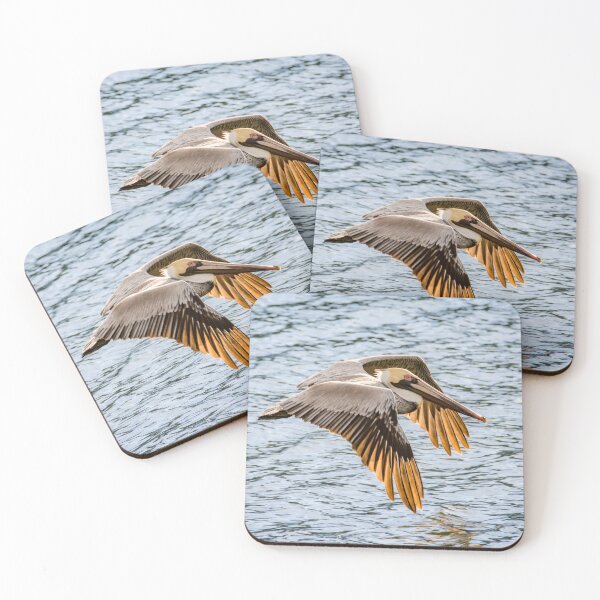 Item preview, Brown Pelican Gliding Over Water designed and sold by Debra Martz.